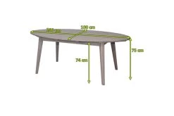 Ploß Arendal Diningtisch, Grau, FSC-Akazienholz, 200x100cm, Oval -Warmer Garten 21641 5.jpg