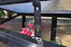 OUTFLEXX Gewächshaus, Schwarz, Alu/Polycarbonat, 91x51x168cm, Pulverbeschichtet -Warmer Garten 22274 11.jpg