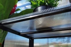 OUTFLEXX Gewächshaus, Schwarz, Alu/Polycarbonat, 91x51x168cm, Pulverbeschichtet -Warmer Garten 22274 12.jpg