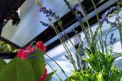 OUTFLEXX Gewächshaus, Schwarz, Alu/Polycarbonat, 91x51x168cm, Pulverbeschichtet -Warmer Garten 22274 13.jpg