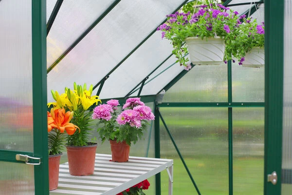 OUTFLEXX Gewächshaus, Grün, Alu/Polycarbonat, 6mm, Inkl. Fundament, Pulverb. 258 X 195 X 205 Cm 5 OUTFLEXX Gewächshaus, Grün, Alu/Polycarbonat, 6mm, Inkl. Fundament, Pulverb. 258 X 195 X 205 Cm – Bild 3